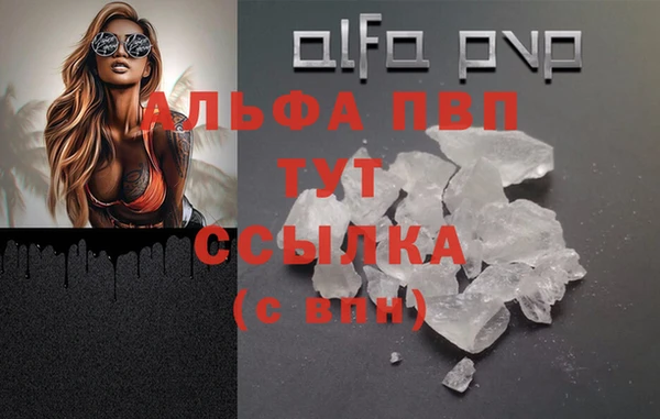 PSILOCYBIN Волоколамск